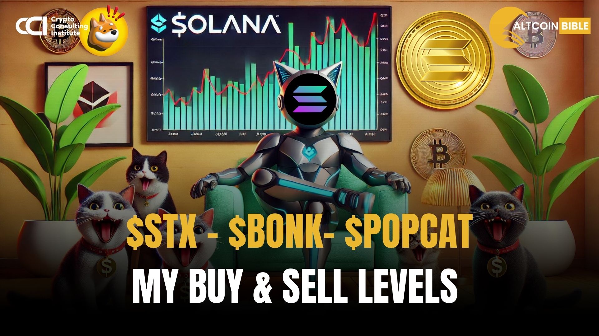 $STX - $BONK- $POPCAT  My BUY & SELL levels