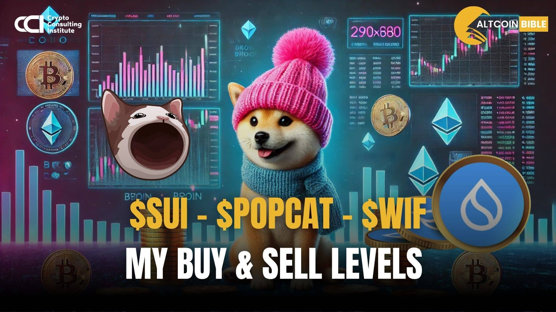 $SUI – $POPCAT – $WIF  My BUY & SELL levels