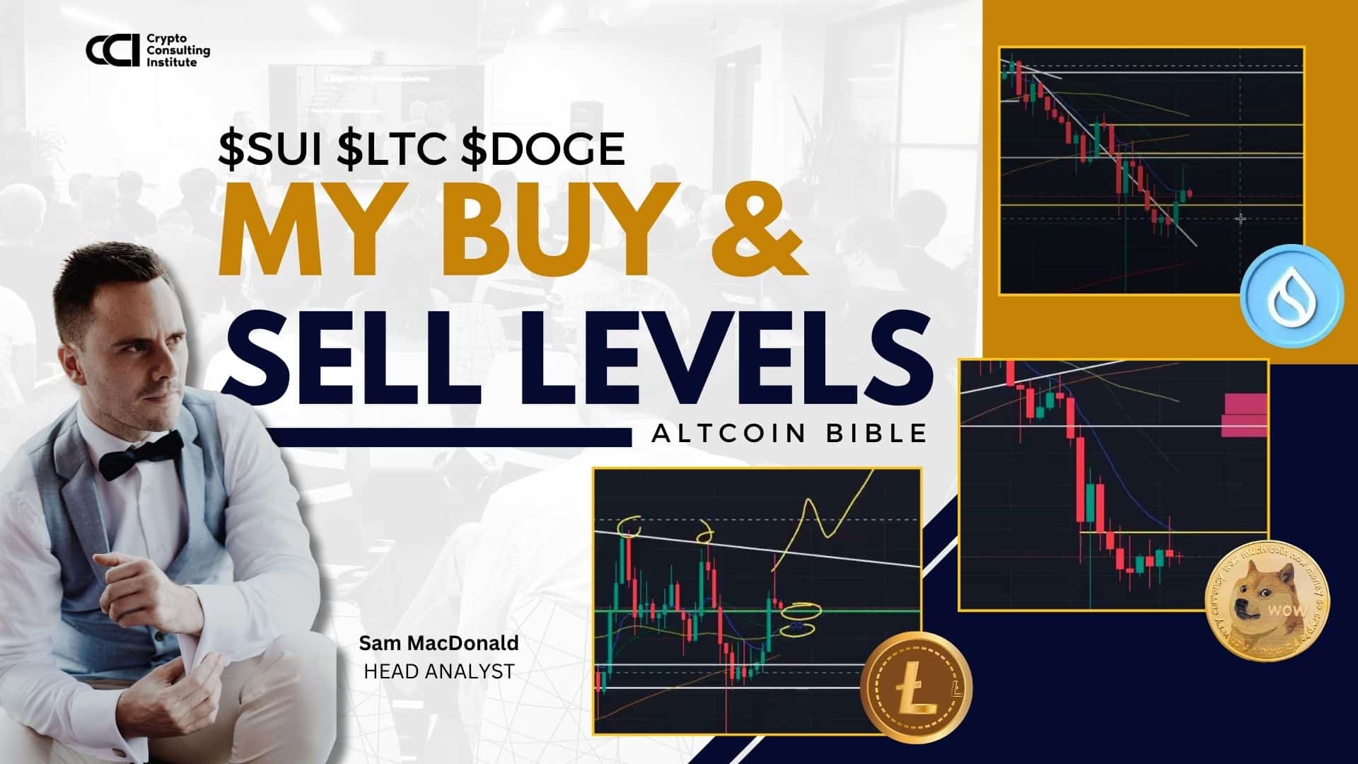 $SUI $LTC $DOGE 🎯 My BUY & SELL levels